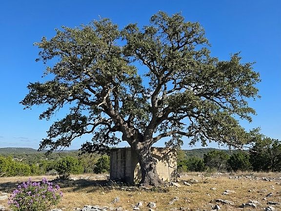 3rd image of 1518 Sd 54500