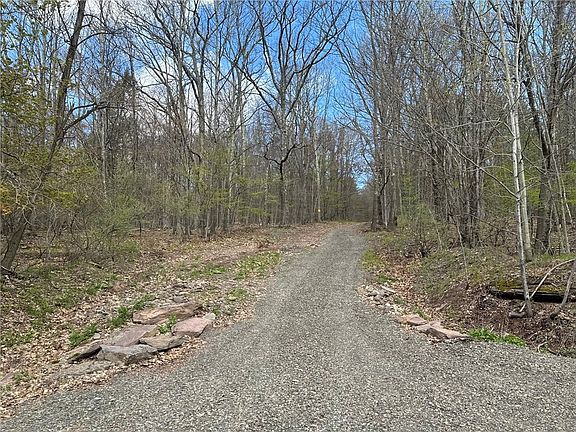 2nd image of 0 Patent Line Rd Lot 7