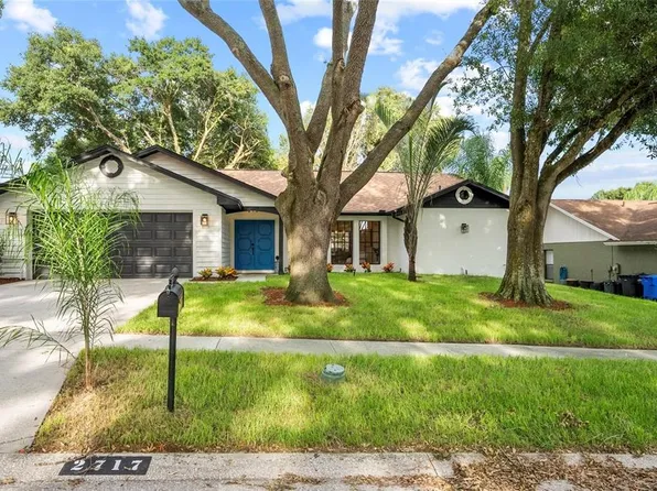 2717 Briarpatch Dr, Valrico, FL 33596