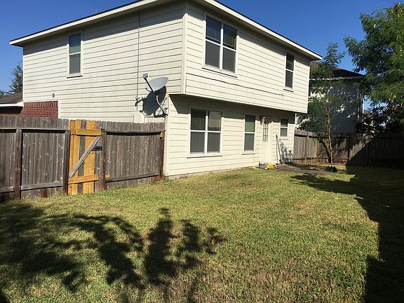 Back and backyard