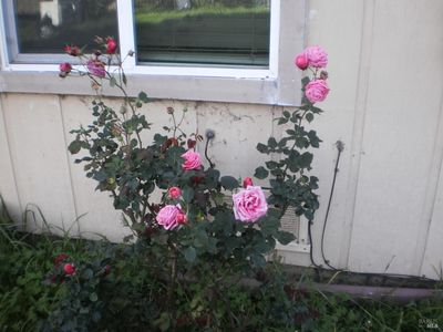 1911 Corby Avenue, Santa Rosa, CA, 95407