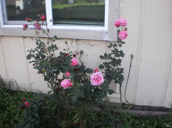 1911 Corby Avenue, Santa Rosa, CA 95407