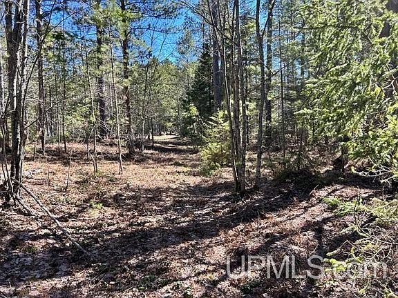 3rd image of Little Rice Lake Rd Unit 61