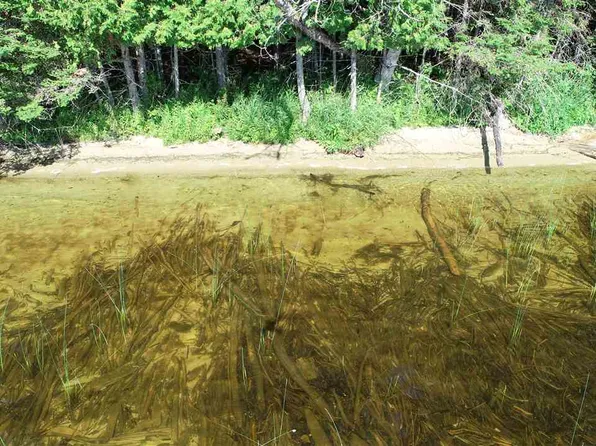 N Sherman Rd Lot 4, Germfask, MI 49836