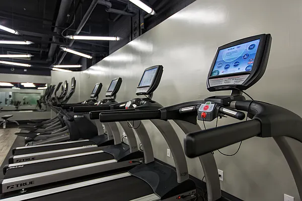 Rented by Stellar Management | media 12