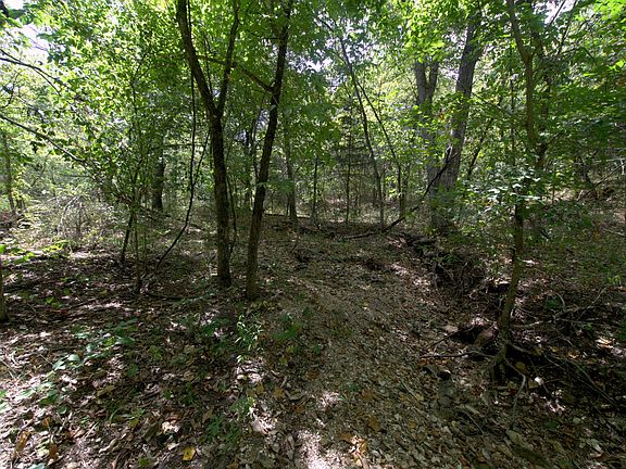 4th image of Tract 2-4 Simpson Rd