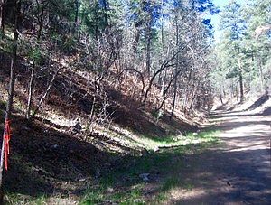 3rd image of 211 Camelot Dr