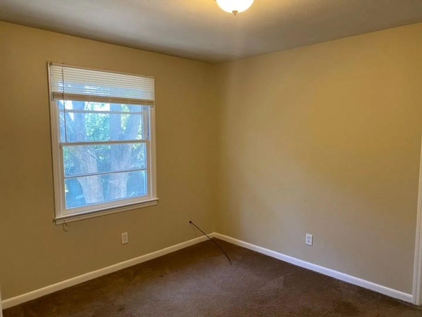 2 bedroom/1 bath Apartment home — Photo 4