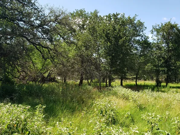 111 FLORES OAKS DR, Floresville, TX 78114