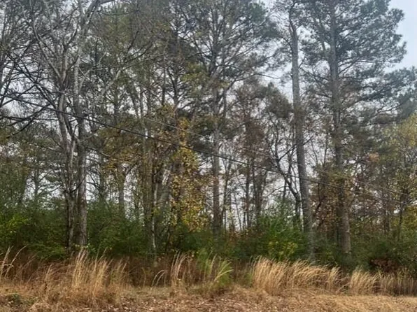 Burrows Crossing Rd, Jasper, AL 35504