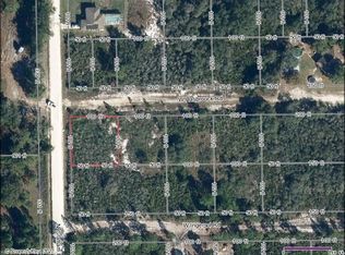 3029 W Hasbrouck Rd, Avon Park, FL 33825