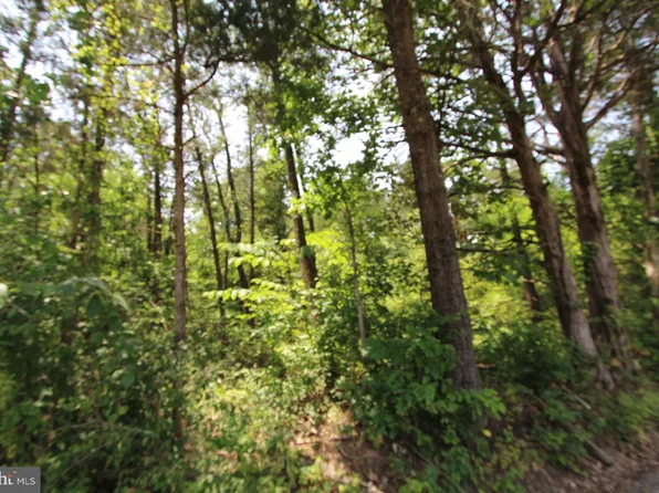 Catlett School Rd, Catlett, VA 20119