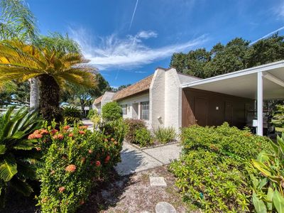 3143 Mission Grove Dr #C, Palm Harbor, FL, 34684
