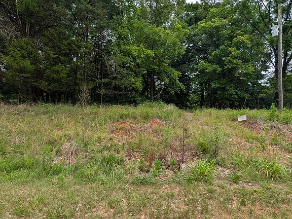 3rd image of 55 Blazing Ridge Dr