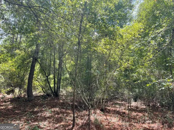 0 Old Wadley Rd, Swainsboro, GA 30401