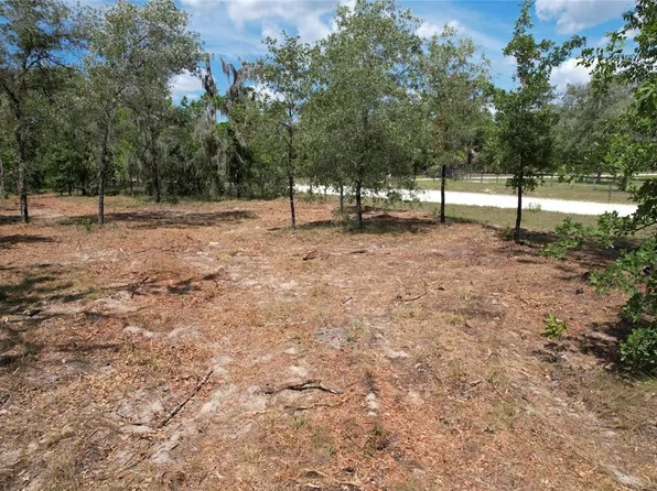 SE 53rd Ln Lot 9, Morriston, FL 32668