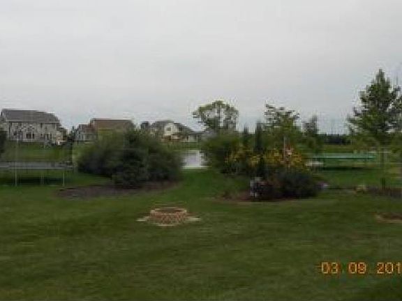 Pond View