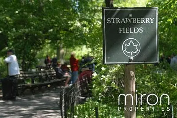Rented by Miron Properties | media 6