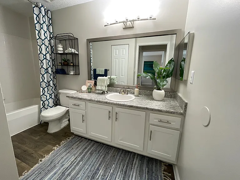 Palmetto Place — Photo 8