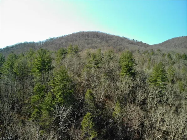 4668 Cane Creek Church Rd, Mc Grady, NC 28649