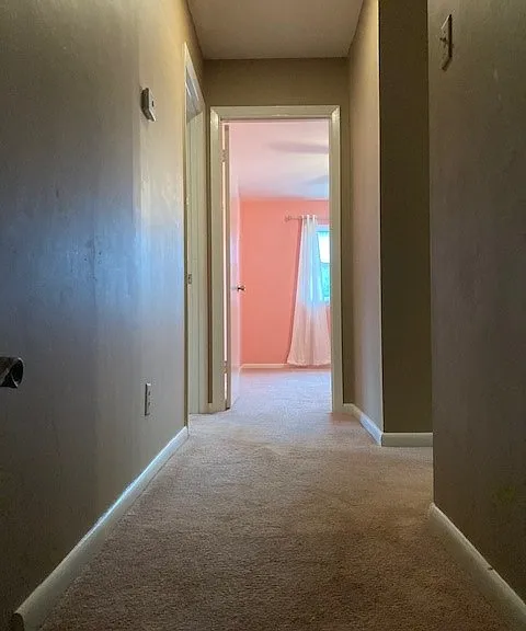 1 Lorna Dr — Photo 20