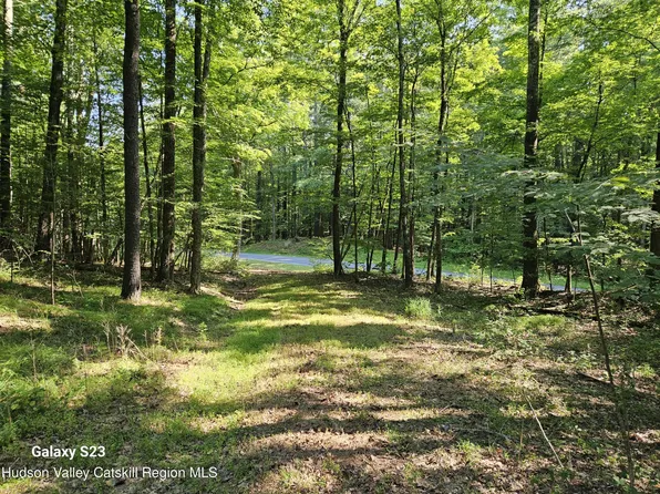 0 Hearts Content Road, Round Top, NY 12473