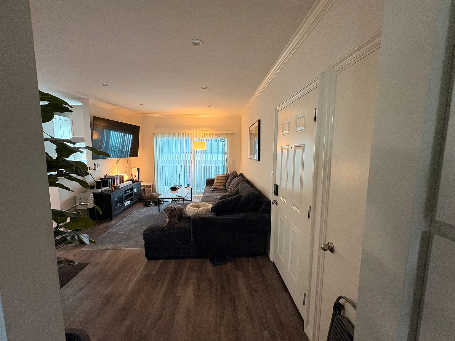 1 bed, 800 sqft, $2,250 — Photo 2