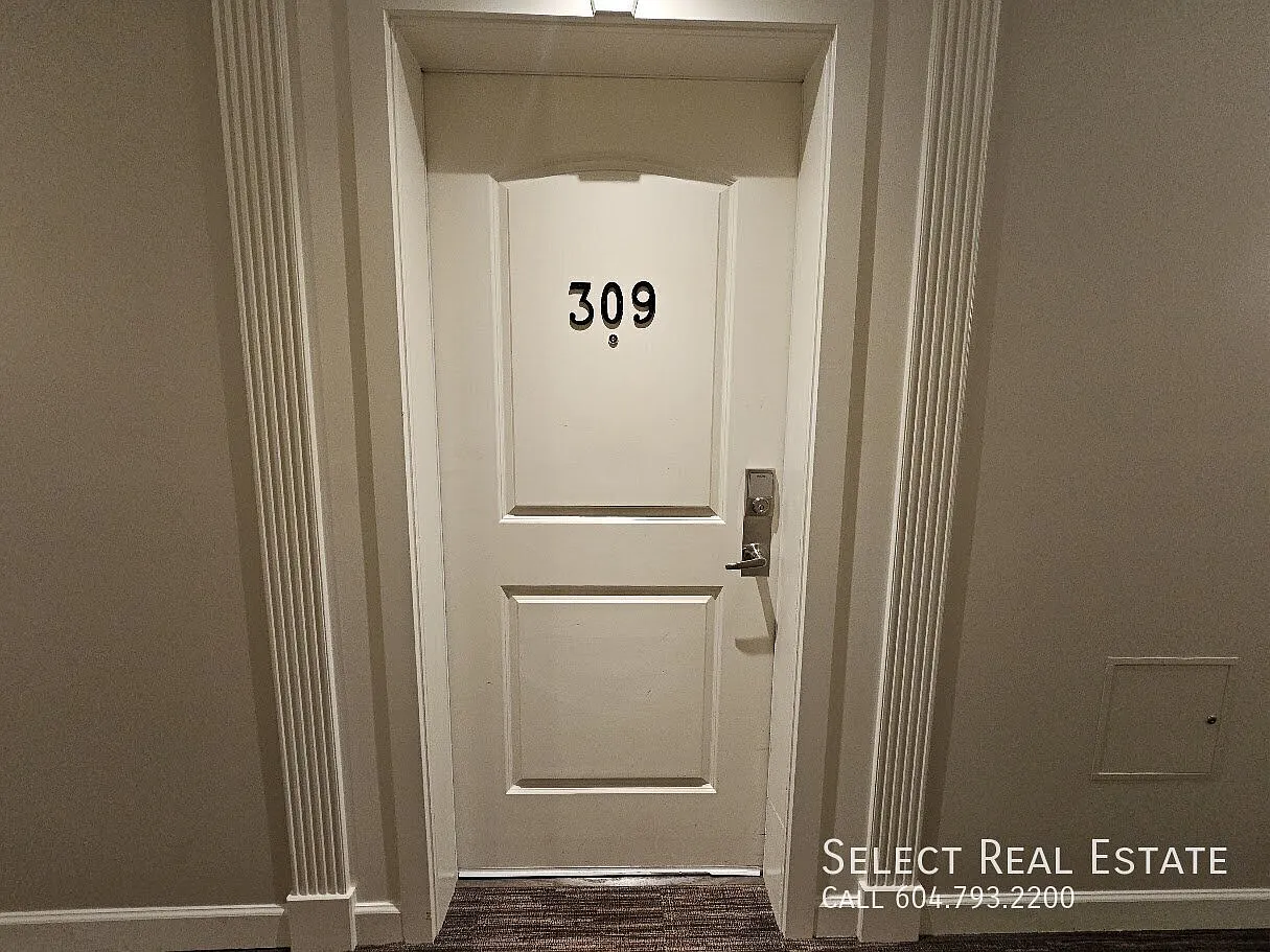 1 bed, 575 sqft, $1,800 — Photo 2