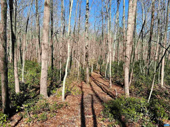 Tbd Green Creek Rd, Schuyler, VA 22969