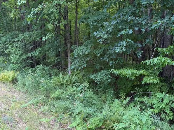 00 S County Road G, Boyd, WI 54726