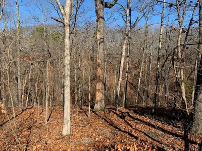 Beccles Ln #33, Bella Vista, AR, 72714
