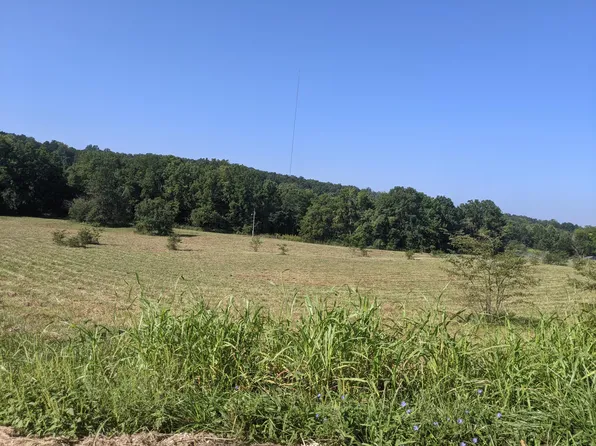 568 Normandy Road, Fordland, MO 65652