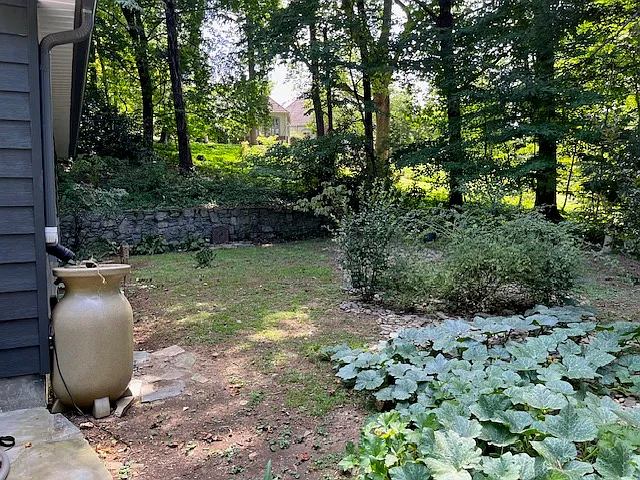Garden area. Need squash?