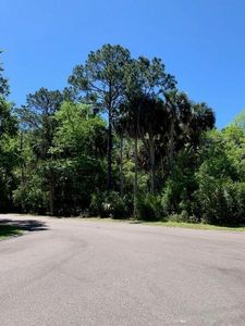 3136 Laughing Gull Ct, Johns Island, SC, 29455