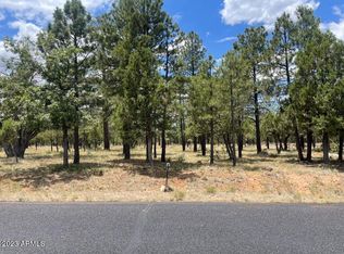 2656 Deer Path #189, Happy Jack, AZ 86024