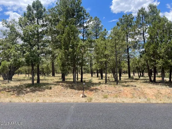 2656 DEER Path #189, Happy Jack, AZ 86024