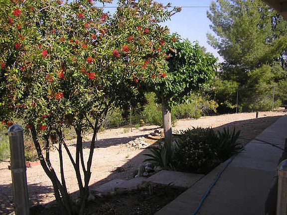 5th image of 885 W Yaqui Drive