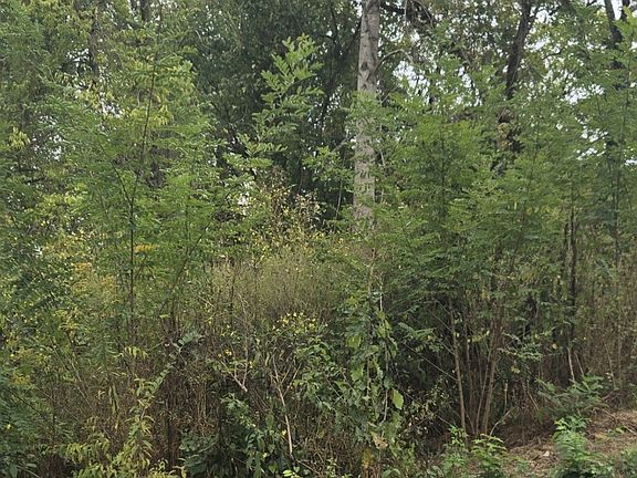 2nd image of 0 Pulaski Pike NW