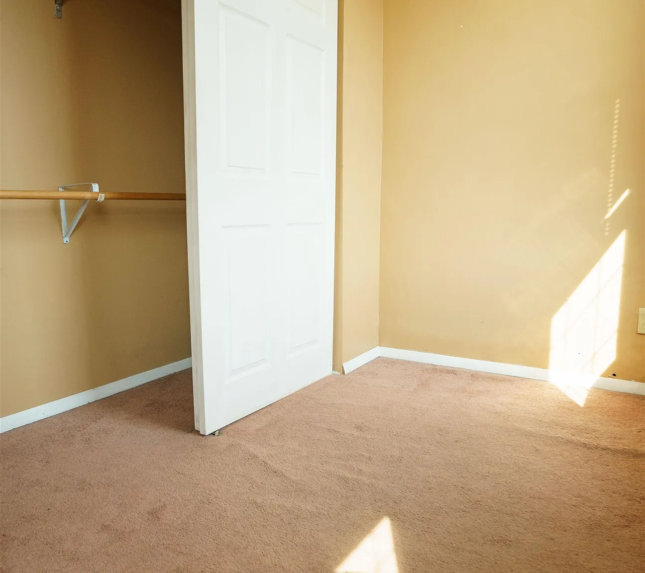 3 bed, 1.0 bath, $1,900 — Photo 3