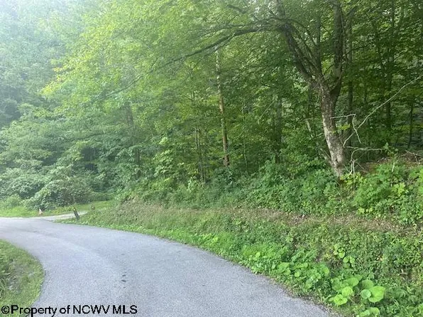 Creed Isner Rd, Kerens, WV 26276