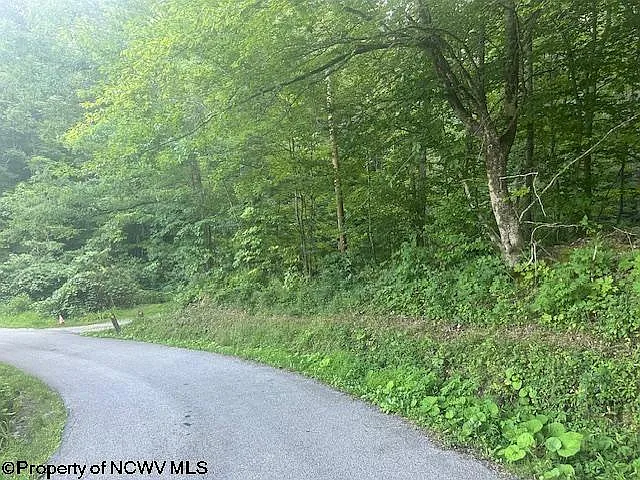 Creed Isner Rd photo 1