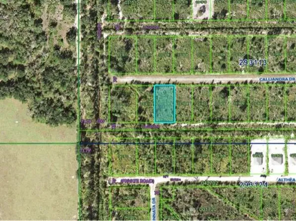 Calliandra Dr Lot 9, Indian Lake Estates, FL 33855
