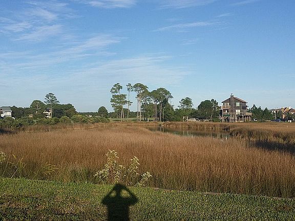 5th image of 1164 Sawgrass Dr