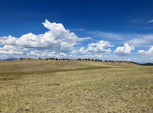 2986 Chicha Rd, Hartsel, CO 80449