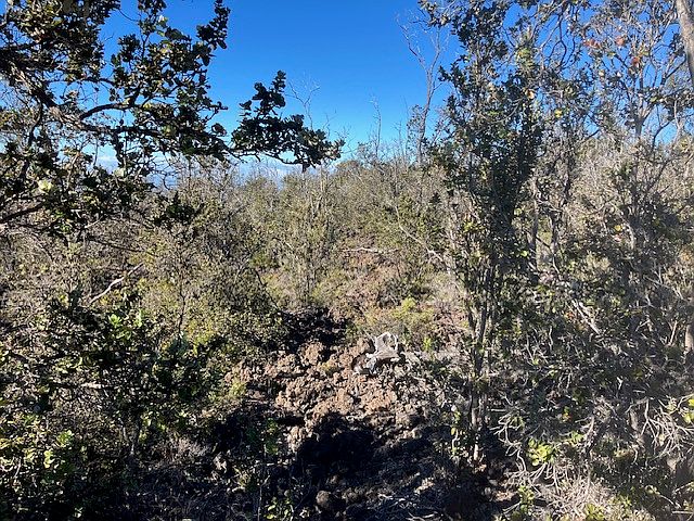2nd image of Koa Ln Lot 16