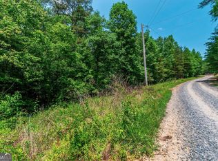 335AC Pine Ln, Mineral Bluff, GA 30559