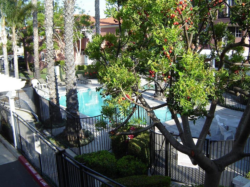 View from balcony