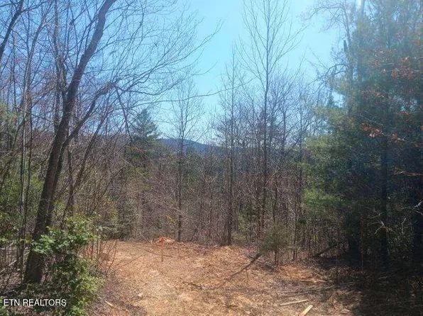 255 & 329 Copperhead Rd, Oakdale, TN 37829