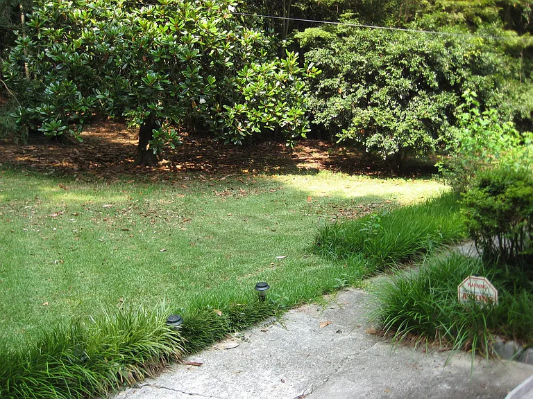 Front Yard