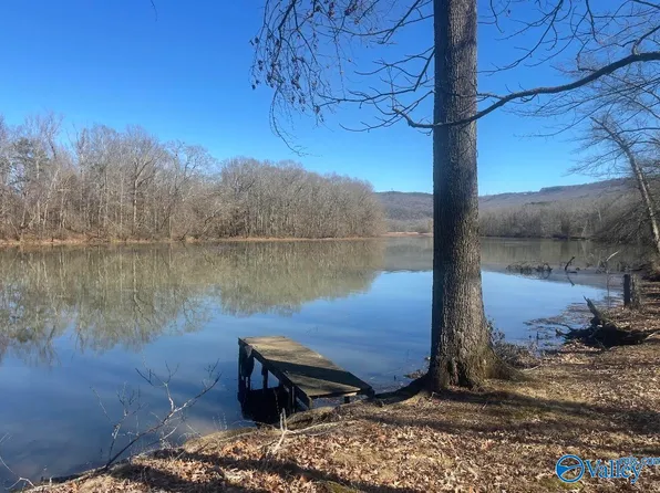 572 County Road 676, Bryant, AL 35958